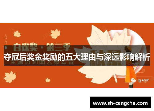 夺冠后奖金奖励的五大理由与深远影响解析