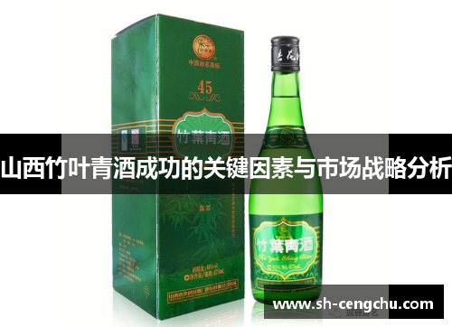 山西竹叶青酒成功的关键因素与市场战略分析