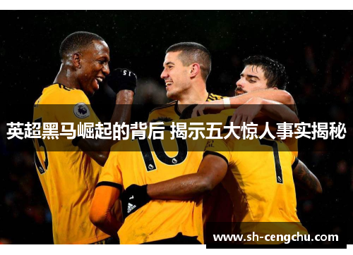 英超黑马崛起的背后 揭示五大惊人事实揭秘
