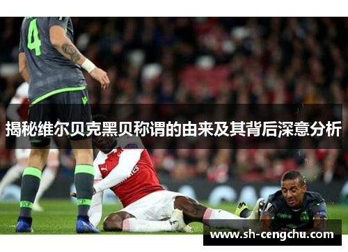 揭秘维尔贝克黑贝称谓的由来及其背后深意分析