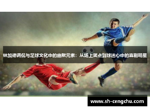 林加德调侃与足球文化中的幽默元素：从场上笑点到球迷心中的喜剧明星