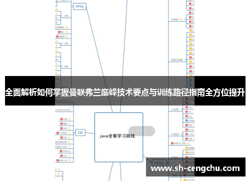 全面解析如何掌握曼联弗兰巅峰技术要点与训练路径指南全方位提升 全面解析如何掌握曼联弗兰巅峰技术要点与训练路径指南全方位提升